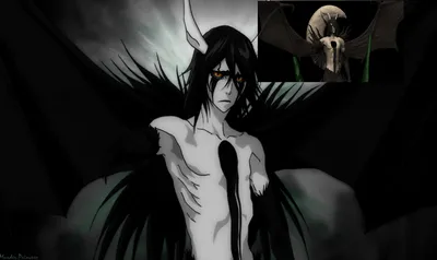 Ulquiorra Cifer | Bleach Wiki | Fandom