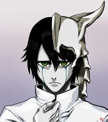 Ulquiorra Schiffer | Bleach | Bleach anime, Bleach (anime), Bleach manga