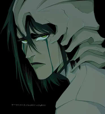 ulquiorra | Bleach anime, Bleach manga, Anime