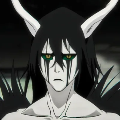 Ulquiorra Cifer | Bleach anime, Bleach drawing, Bleach funny