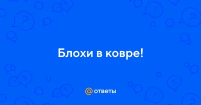 Dream Group - 💔 В коврах, особенно с длинным ворсом, скапливается огромное  количество пыли, в которой заводятся пылевые #клещи. ⠀ ⠀ Питаются  микроскопические паразиты отмершими чешуйками человеческой кожи, которые  оседают в коврах.