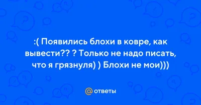 Блохи у собак - что делать? | Сами с Усами l Зоомагазин | Дзен