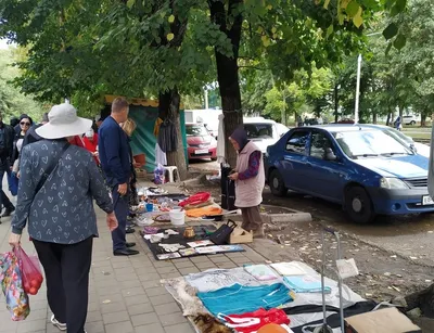 Блошиный рынок в Калининграде перенесут на место птичьего — РБК