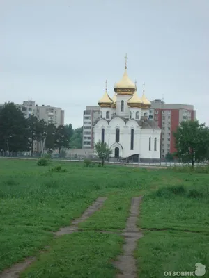 В Твери может окончательно погибнуть памятник природы «Бобачевская роща» |  Твериград