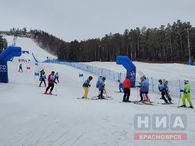 Бобровый лог» - Афиша Красноярска