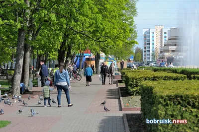 Врачи, художники и швеи, где вы сейчас, бобруйские евреи?.. - 28.09.2019,  Sputnik Беларусь