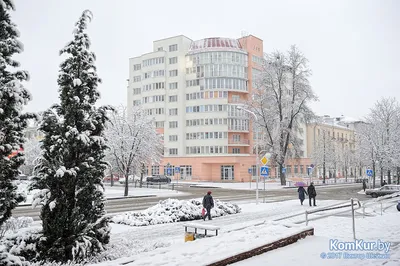 Фотофакт: недостача на въезде в Бобруйск