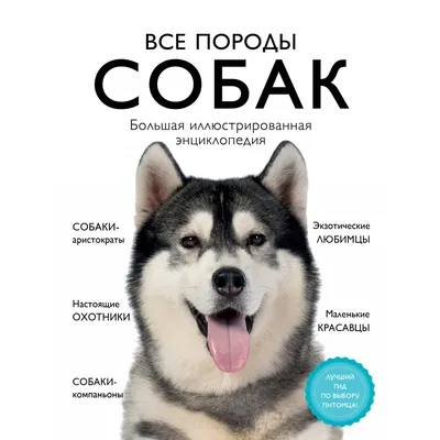 КЛАССИФИКАЦИИ ПОРОД СОБАК I. Классификация, основанная на генетических  принципах: 1. Волкообразный.. | ВКонтакте