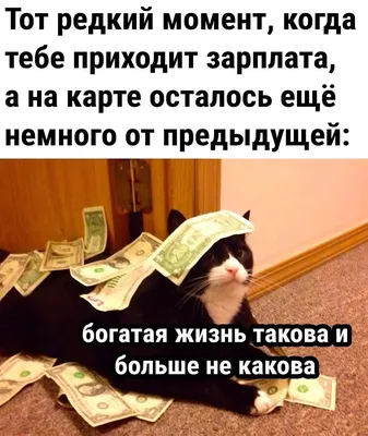 Слушайте , а мне идет богатая жизнь 😀 И да , мои желания сбываются на раз  , только я не умею их правильно формулировать … хотела грудь ?… | Instagram