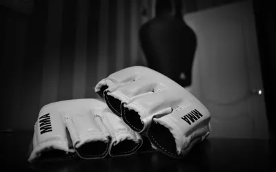 1000+ Mma Pictures | Download Free Images on Unsplash