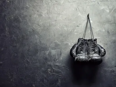 Купить Профессиональные боксерские перчатки EVERLAST 1910 CLASSIC по низкой  цене с доставкой из марктеплейса Fight Express