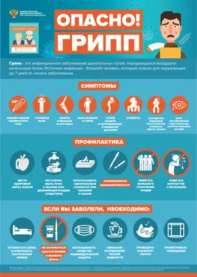 Как не заболеть или выздороветь быстрее при эпидемии гриппа - NORTHWAY