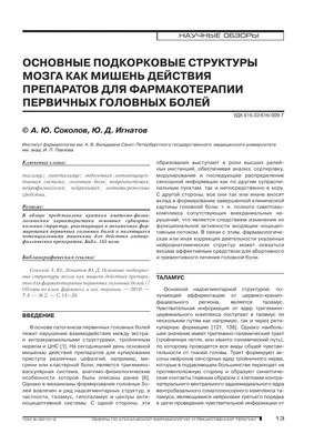 Севастополь :: крым / прикольные картинки, мемы, смешные комиксы, гифки -  интересные посты на JoyReactor