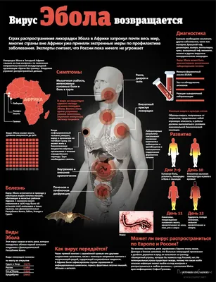 ВОЗ объявила эпидемию лихорадки Эбола международной опасностью