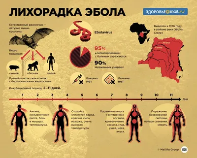 Вирус Эбола: ответы на важные вопросы - Anhor.uz