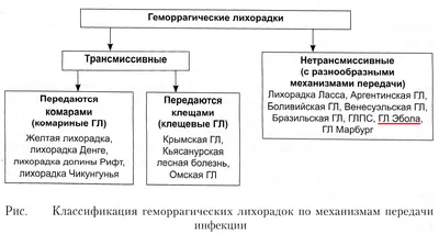 Вирус Эбола мутировал и стал опаснее