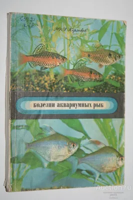 Аквариумных рыбок стоковое изображение. изображение насчитывающей ангстрома  - 185730441