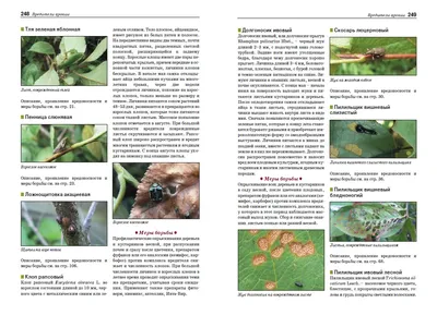 Болезни и вредители плодовых растений: Атлас-определитель | Фитон XXI