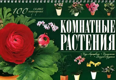 Комнатные растения. 100 самых популярных. Уход и выращивание, размножение,  болезни и вредители - купить с доставкой по выгодным ценам в  интернет-магазине OZON (187160013)