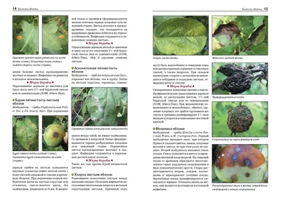 Болезни и вредители плодовых растений: Атлас-определитель | Фитон XXI