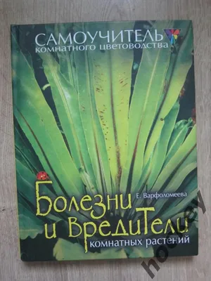 Болезни и вредители цветов - как с ними бороться | gardenstar.ru - Всё о  растениях | Дзен