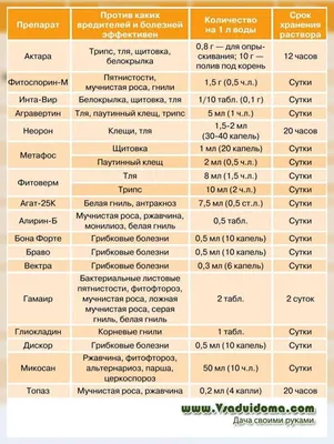 Пятна на калатее орбифолия | Пикабу