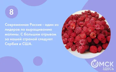 Ах, какою сладкой малина была... Рассказываем о пользе июльской ягоды -  Общество