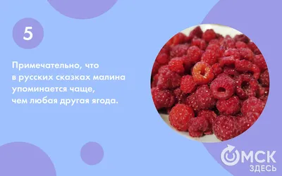 10 самых распространённых болезней малины и методы борьбы с ними. Описание,  фото — Ботаничка