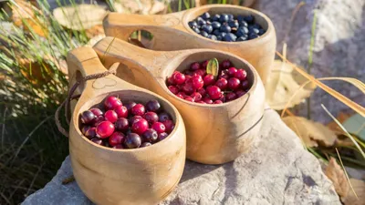 🍓САМЫЕ ОПАСНЫЕ БОЛЕЗНИ КЛУБНИКИ. Диагностика, профилактика и лечение  клубники - YouTube