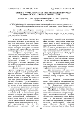 Популяции осетровых в Ростовской области вышли из депрессивного состояния |  24.04.2023 | Боковская - БезФормата