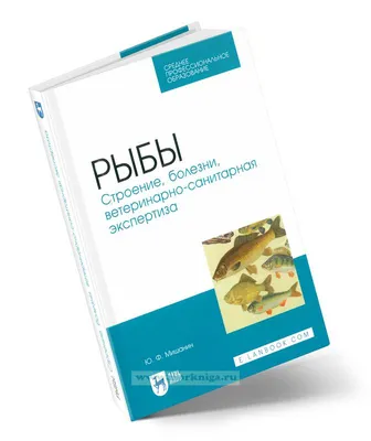 В гости к Царь-рыбке (вкусные традиции старинного осетрового завода в  Конаково — драгоценные коллекции Кузнецовского фарфора — панорамное  чаепитие на колокольне в Завидово) - Тверская область