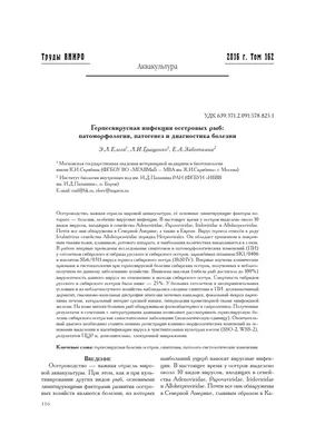 БОЛЕЗНИ, ВЫЗЫВАЕМЫЕ ПРОСТЕЙШИМИ (ПРОТОЗОЙНЫЕ БОЛЕЗНИ) [1979 Крзюков Ю.А. -  Болезни аквариумных рыб]