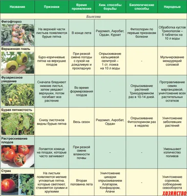 Болезни томатов! Прошу помощи! / Асиенда.ру
