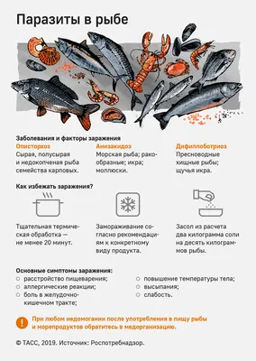 вирусная геморрагическая септицемия форели