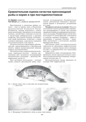 Миксобактериозы рыб | Российский аграрный портал