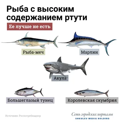 Об опасности приобретения несертифицированной рыбной продукции - Статьи -  «Новости Приобья». Общественно-политическая газета Нижневартовского района