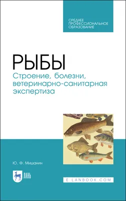 Как лечить оодиниоз в аквариумных рыб?