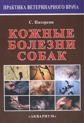 Лысое красное пятно на лапе! Прошу помощи! - Кожные заболевания, аллергия,  уши, глаза, подушечки лап - Лабрадор.ру собаки - ретриверы