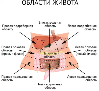 Боли в животе картинка фотографии