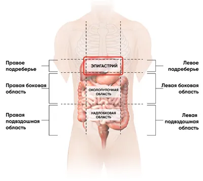 Боль в животе - причины и помощь организму