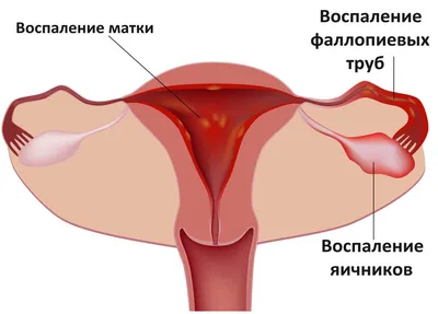 При кашле болит живот: почему при кашле может болеть живот у ребенка,  женщины или мужчины