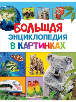 РОСМЭН Большая энциклопедия в картинках на русском Russian encyclopedia fot  kids | eBay