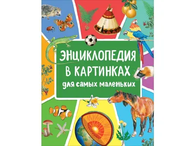 Большая энциклопедия в картинках. Раннее развитие малыша 2+ РОСМЭН 2470195  купить за 781 ₽ в интернет-магазине Wildberries