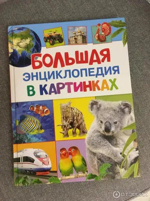 Книга Росмэн Большая энциклопедия в картинках купить по цене 9 ₽ в  интернет-магазине Детский мир