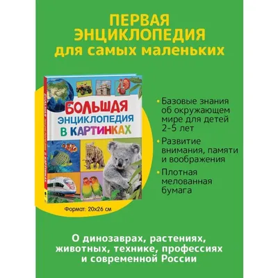 Отзыв о Книга \"Большая энциклопедия в картинках\" - издательство Росмэн |  Красочная и познавательная энциклопедия в картинках