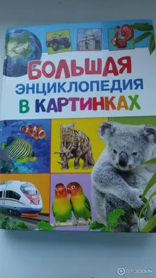 Энциклопедия необходимых знаний. Издательство Росмэн - «Очень интересная и  познавательная книга - Энциклопедия необходимых знаний от Росмэн. Хоть она  и для детей, но купила я ее пока что для себя))) Потому что