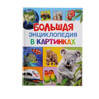 Росмэн Самая большая книга сказок и Большая энциклопедия в картинках купить  в Москве, СПб, Новосибирске по низкой цене