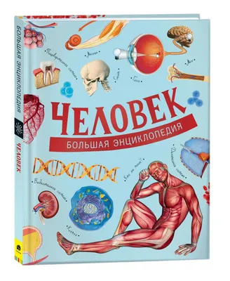 РОСМЭН Книга \"Детская энциклопедия РОСМЭН\", бумага, картон, 22х16,5х1см,  96стр., 10-12 дизайнов купить с выгодой в Галамарт