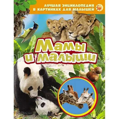 Отзыв о Книга \"Большая энциклопедия в картинках\" - издательство Росмэн |  Отличная энциклопедия для детей от 2-х лет