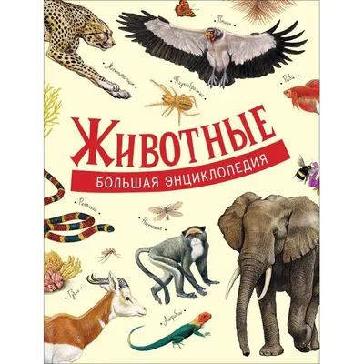 Подводный мир. Энциклопедия в картинках для малышей. Росмэн 2014: цена 55  грн - купить Детские книги на ИЗИ | Кропивницкий